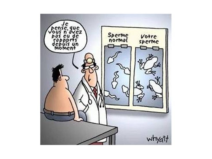Article : L&rsquo;infertilité masculine 
