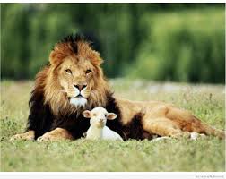 Article : Le lion et l&rsquo;agneau