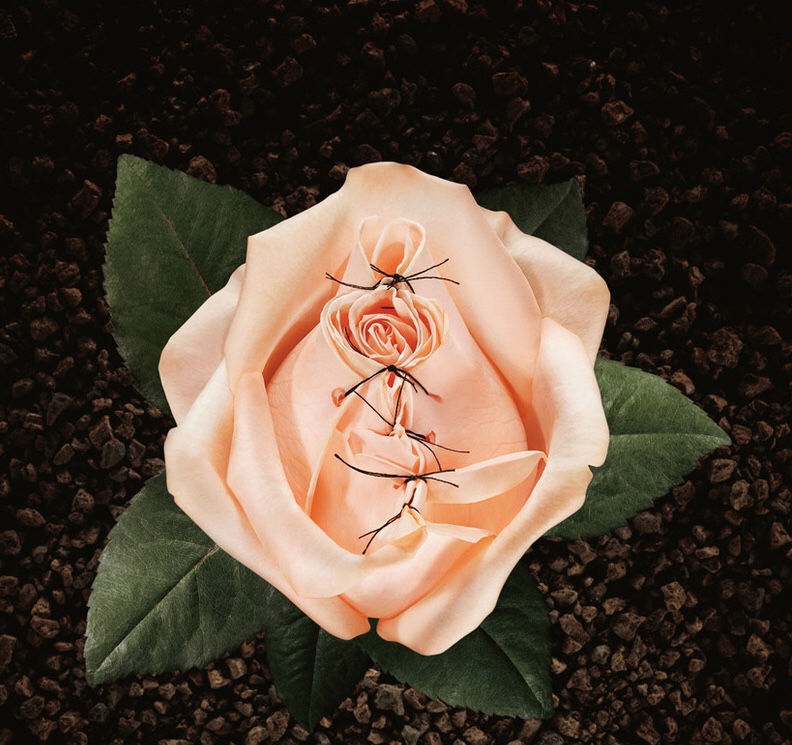 Article : Lutte contre l’excision: témoignage philosophico-social: quand la l’imposition sociale affecte la sexualité