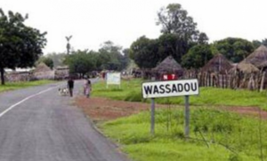 Article : Une semaine à Wassadou: vendredi