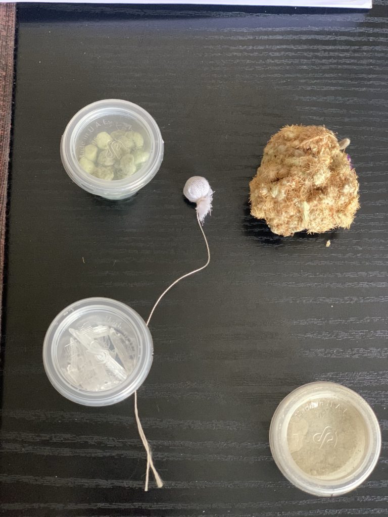 Article : Le vagin n’est pas une cuisine